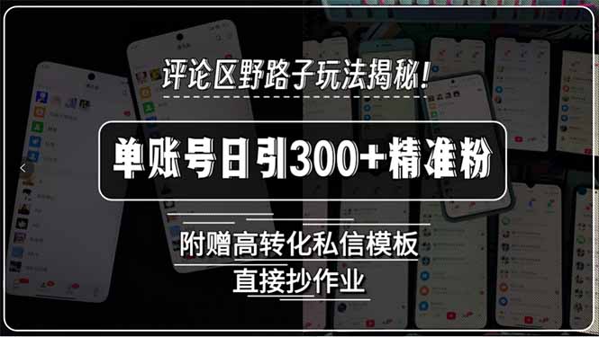 评论区野路子玩法揭秘！单账号日引300+精准粉，附赠高转化私信模板，直…-校睿铺