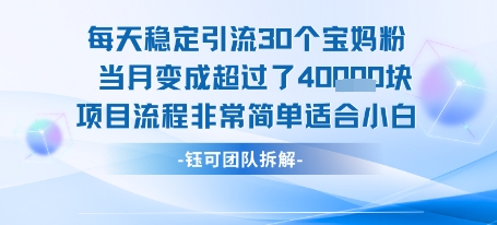 每天稳定引流30个人 当月变成超过了4个W项目流程非常简单适合小白-校睿铺