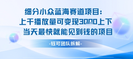 小众蓝海赛道项目：当天变现1k+适合新手操作 +适合长期玩-校睿铺