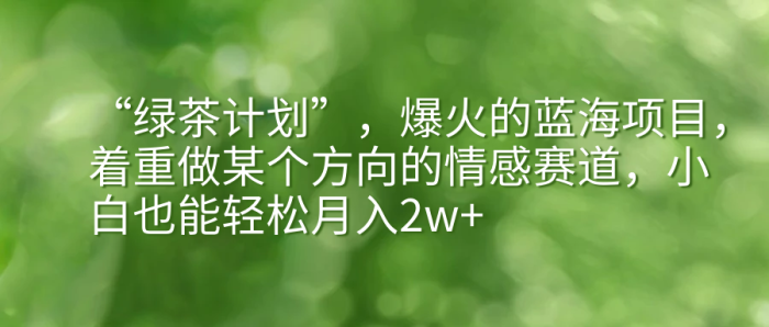 《情感赛道月入2w+项目》蓝海项目-校睿铺