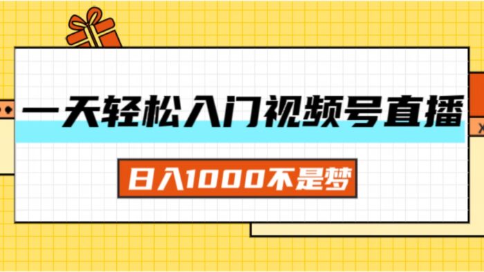 （11906期）一天入门视频号直播带货，日入1000不是梦-校睿铺
