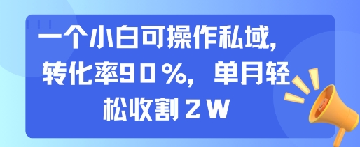 一个小白可操作私域，转化率90%，单月轻松收割2W-校睿铺