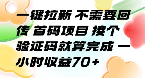 一键拉新 不需要回传 首码项目 接个验证码就算完成 一小时收益70+【揭秘】-校睿铺
