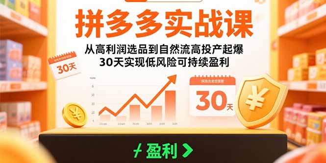 拼多多实战课：从高利润选品到自然流高投产起爆 30天实现低风险可持续盈利-校睿铺