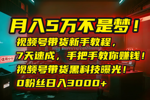 月入5万不是梦！视频号带货新手教程，7天速成，手把手教你赚钱！视频号…-校睿铺