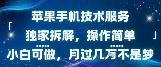 苹果手机技术服务，独家拆解，操作简单，小白可做，月过1W不是梦-校睿铺