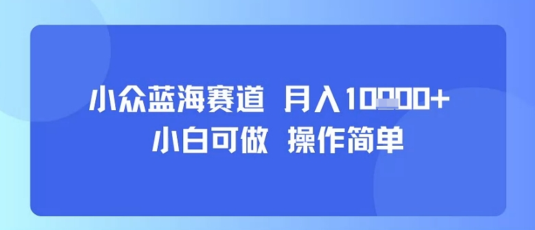 小众蓝海赛道，小白可做，操作简单，每天30分钟，月入1W+-校睿铺