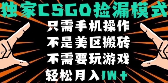 CSGO自动捡漏项目，最新独家玩法，不是美区搬砖，不需要了解和玩游戏，新手小白轻松月入1W+【揭秘】-校睿铺