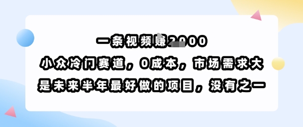 一条视频挣1k，小众冷门赛道，0成本，市场需求大，是未来半年最好做的项目，没有之一-校睿铺