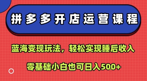拼多多开店运营课程：蓝海变现玩法，轻松实现睡后收入，零基础小白也可日入5张-校睿铺