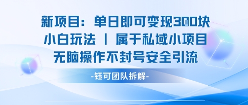 新项目单日即可变现3张的小白玩法无脑操作不封号安全引流-校睿铺