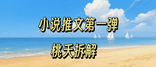 小说推文项目操作全流程第一弹，0粉就能做，门槛低非常适合新手-校睿铺