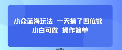 小众蓝海玩法 一天搞了四位数 小白可做 操作简单-校睿铺
