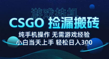 8月最新游戏搬砖，CSGO纯挂G，不需要玩游戏，实现真挂G，月入1W+【揭秘】-校睿铺