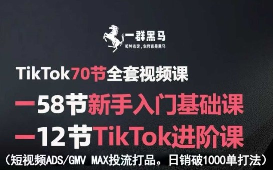 TikTok全套视频课，新手入门+进阶课，短视频ADS-GMV MAX投流打品，日销破1000单打法-校睿铺