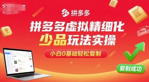 拼多多虚拟精细化少品玩法实操，小白0基础轻松复制-校睿铺