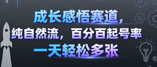 成长感悟赛道，纯自然流，百分百起号率 一天轻松多张-校睿铺