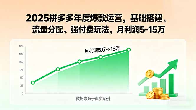 2025拼多多年度爆款运营，基础搭建、流量分配、强付费玩法，月利润5-15万-校睿铺