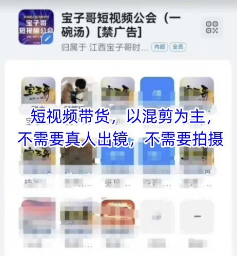 宝子哥头部团队短视频带货，以混剪为主，不需要真人出镜，不需要拍摄【更新9月】-校睿铺
