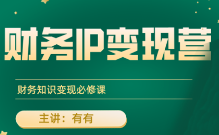有有老师·财务IP变现营，财务知识变现必修课-校睿铺