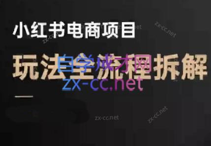 菲菲老师·小红书电商玩法(更新9月)-校睿铺