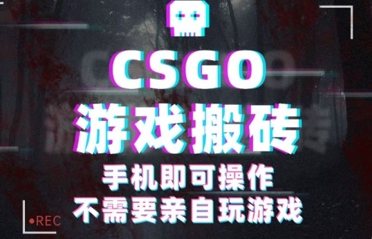 CSGO游戏挂G捡漏，单日扫货5张+，年底小高峰上车可吃肉，手机即可操作，兼职副业创业网创【揭秘】-校睿铺