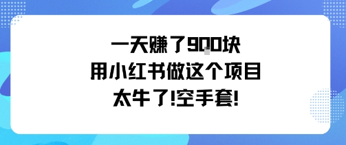 一天挣了9张用小红书做这个项目太牛了，空手套-校睿铺