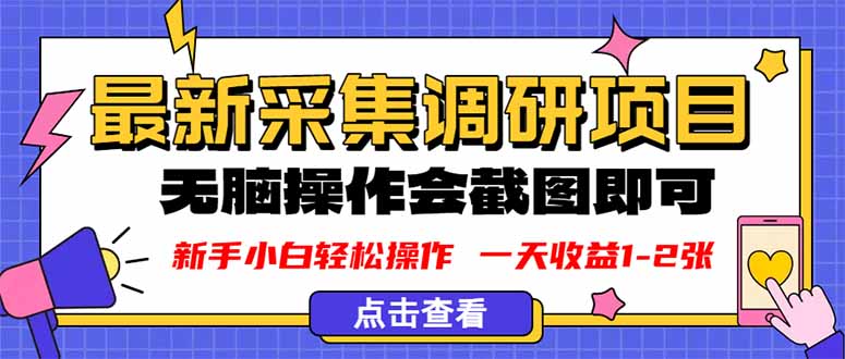 新版采集调研项目，截图上传即可，无脑操作，日收益1-2张-校睿铺