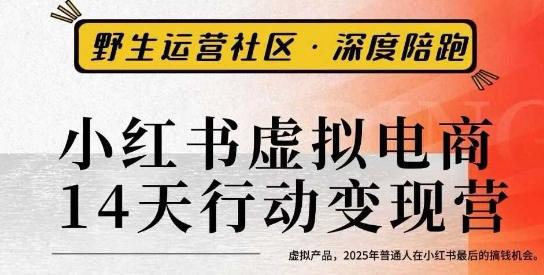 小红书虚拟电商14天变现训练营3.0，​虚拟产品，2025年普通人在小红书最后的搞钱机会-校睿铺