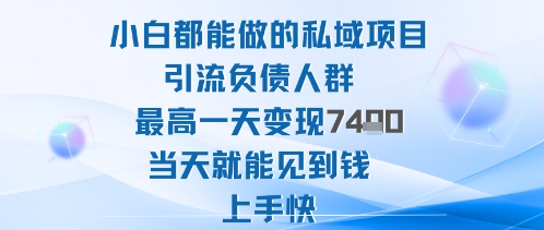 2025年小白都能做的私域项目引流负债人群最高一天变现1k+高变现难度低当天就能见到钱上手快-校睿铺