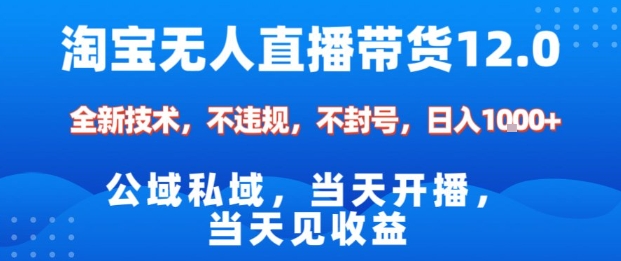 淘宝无人直播12.0，公域私域技术，不封号，不违规布局双十一流量风口，日入1k(独家技术)【揭秘】-校睿铺