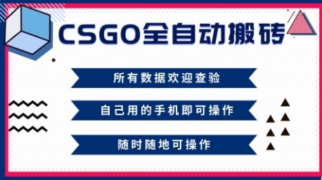 CSGO全自动搬砖，年底钱回家好项目，当天可拿到结果，新手小白轻松月入1W+【揭秘】-校睿铺