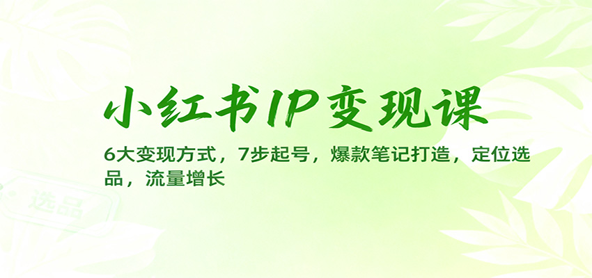 小红书IP变现课：6大变现方式，7步起号，爆款笔记打造，定位选品，流量增长-校睿铺
