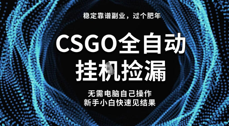 【稳定副业】全球最热门游戏CSGO全自动捡漏，最新玩法，新手小白日入5张+【揭秘】-校睿铺