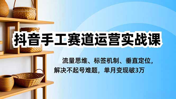 抖音手工赛道运营实战课，流量思维、标签机制、垂直定位，解决不起号难题，单月变现破3万-校睿铺