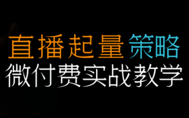 半野老师·直播带货起量与微付费必学课视频号-校睿铺