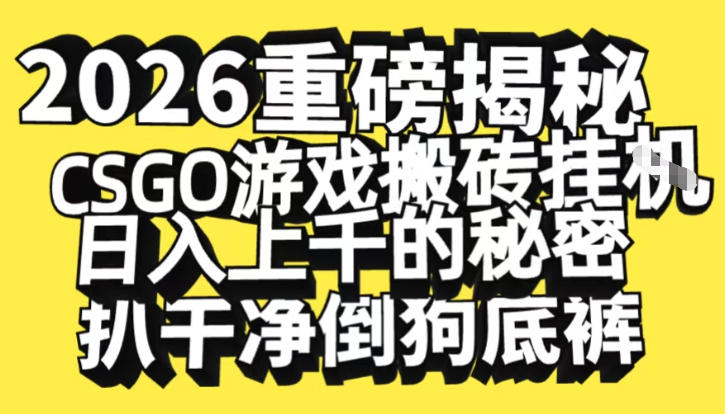 2026开年重磅解密，CSGO游戏搬砖挂G日入1k+的秘密，把倒狗的底裤扒干【揭秘】-校睿铺