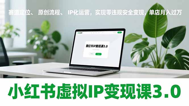 小红书虚拟IP变现课3.0，赛道定位、原创流程、IP化运营，实现零违规安全变现，单店月入过万-校睿铺