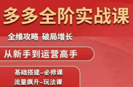 大炮·拼多多全阶实战课程(更新2026)-校睿铺