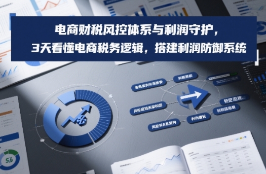 电商财税风控体系与利润守护，3天看懂电商税务逻辑，搭建利润防御系统-校睿铺