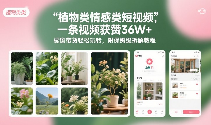 植物类情感类短视频，一条视频获赞36W+，橱窗带货轻松玩转，附保姆级拆解教程-校睿铺