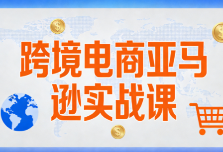 丝丝老师·跨境电商亚马逊实战课(更新2月)-校睿铺