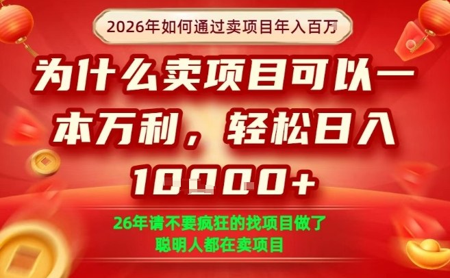 一单净利润1K+，26年想年入100个W，死磕卖项目就够了【揭秘】-校睿铺