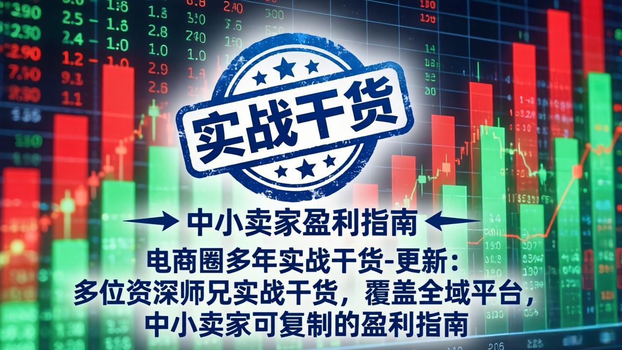 电商圈多年实战干货-更新4月：多位资深师兄实战干货，覆盖全域平台，中小卖家可复制的盈利指南-校睿铺