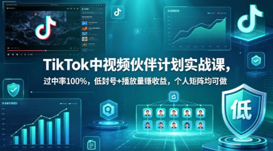 TikTok中视频伙伴计划实战课，过中率100%，低封号+播放量賺收益，个人矩阵均可做-校睿铺