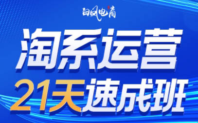 白凤电商·淘系运营21天速成班(更新4月)-校睿铺