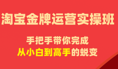 飓风电商·淘宝金牌运营实操班-校睿铺
