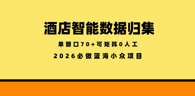 酒店智能数据归集，小众蓝海已经稳定半年之久，单窗口70+零成本矩阵开干【揭秘】-校睿铺