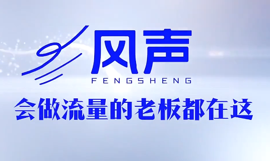 董十一·风声短视频AI获客年度会员-校睿铺