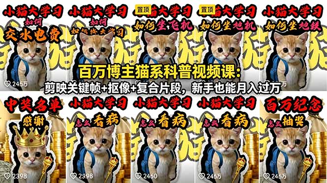百万博主猫系科普视频课：剪映关键帧+抠像+复合片段，新手也能月入过万-校睿铺